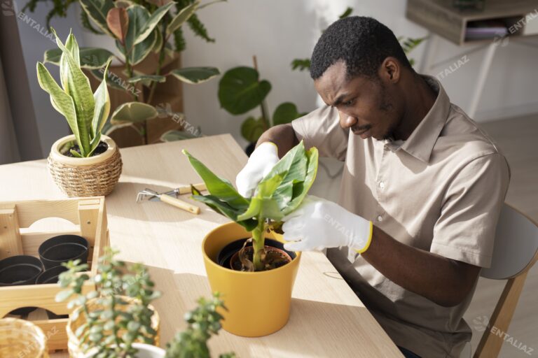 Gardening Tips Every Beginner Should Know.