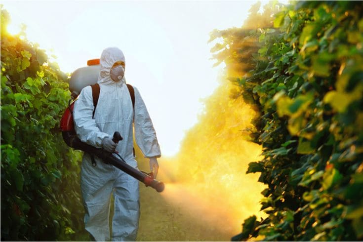entaliaz pest proofing