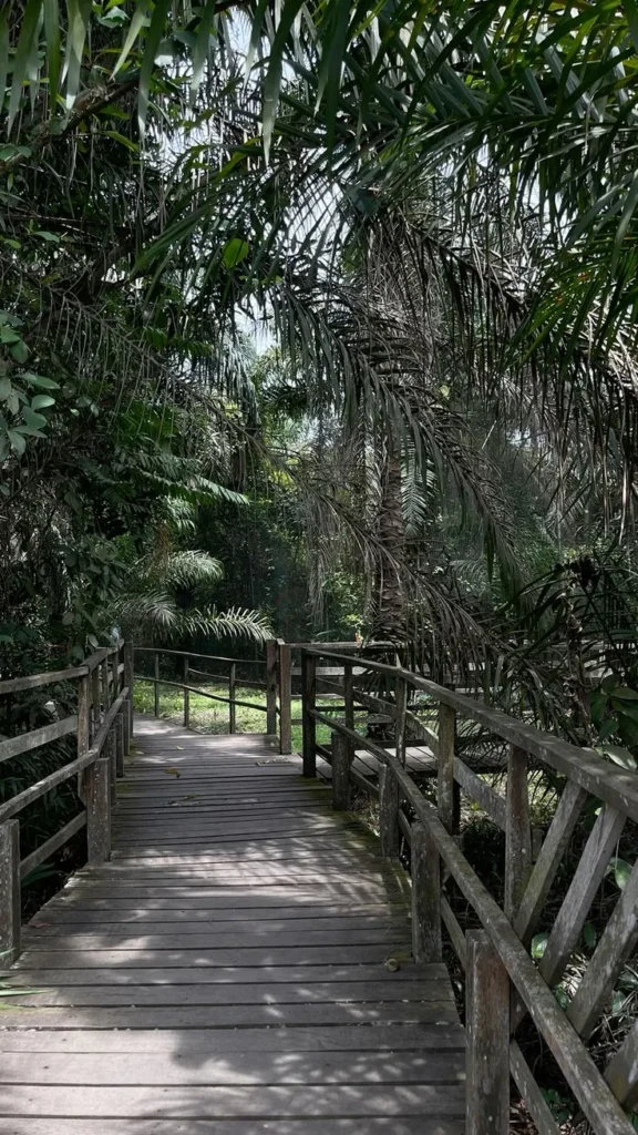 Nigeria parks