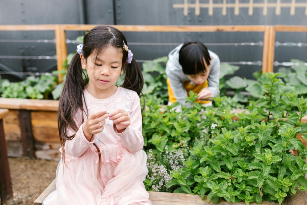 Gardening activities