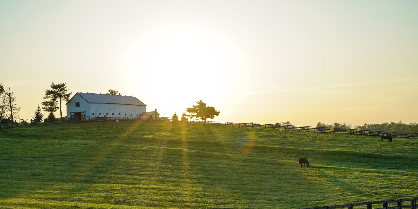 How to Add a Fireplace to Your Farmhouse Renovation