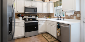 Kitchen appliance cleaning