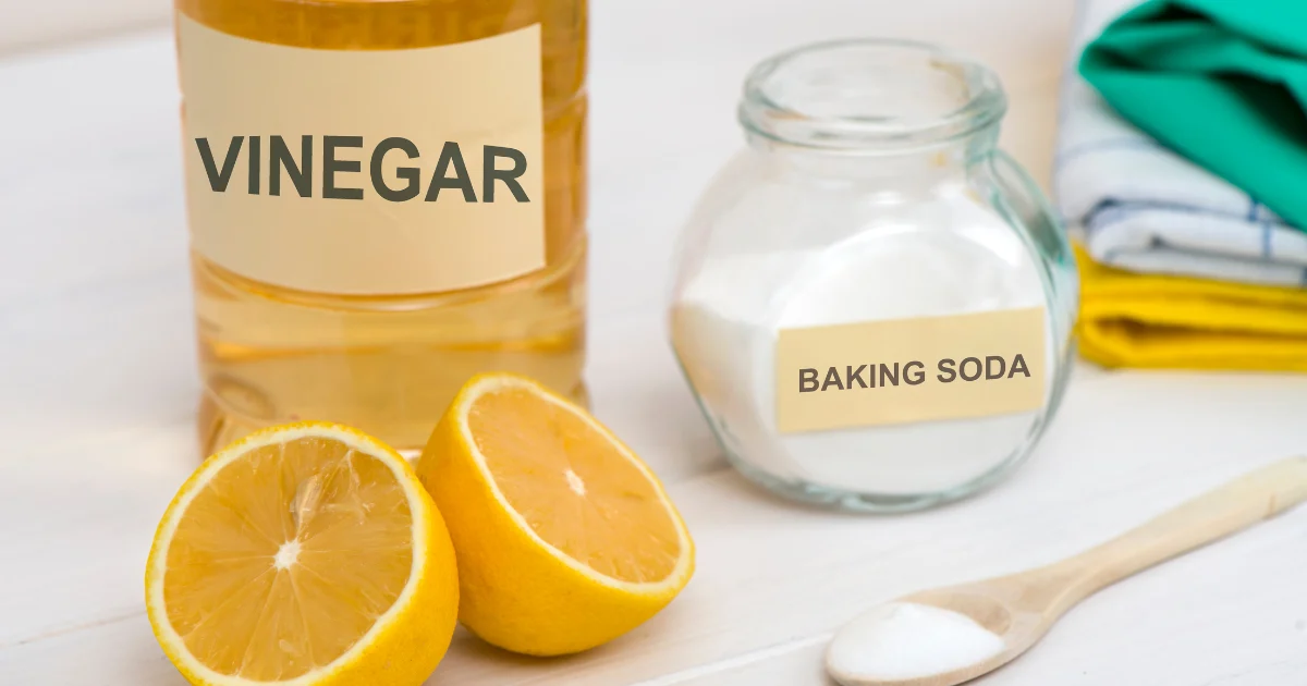 Create Your Homemade Ant Repellent