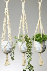 Macrame Plant Hanger
