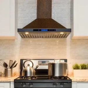 Kitchen range hood