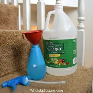 Mud stain removal