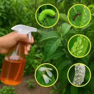 How to choose the best pesticide for your garden