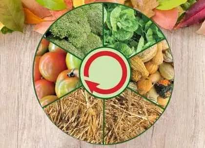 Crop rotation