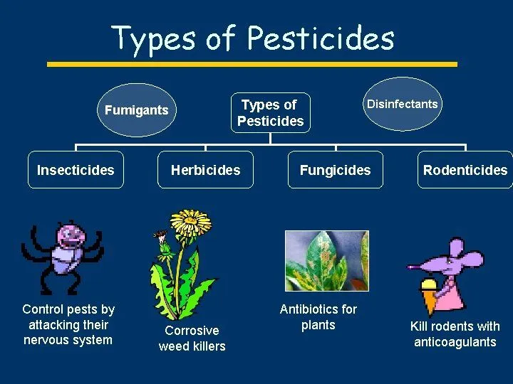 How to choose the best pesticides for your garden