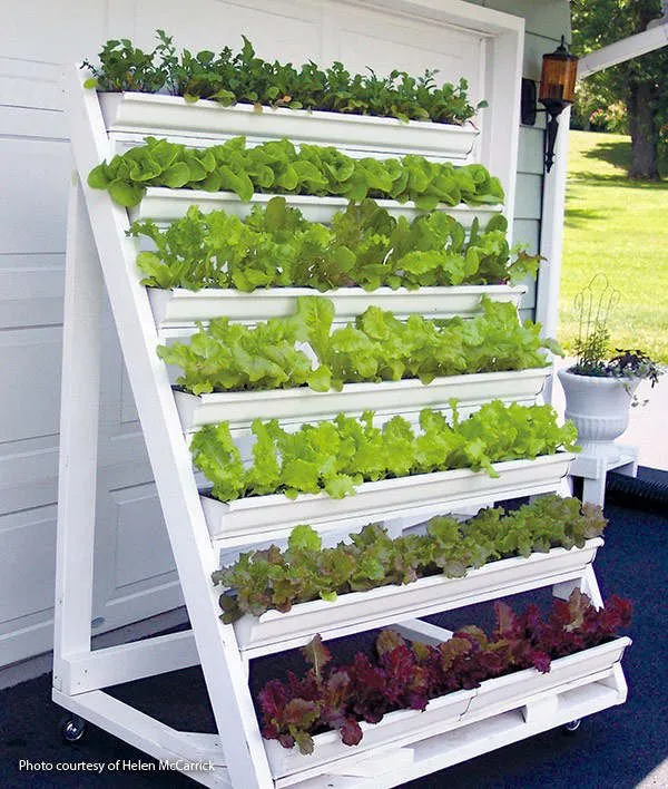 Vertical garden