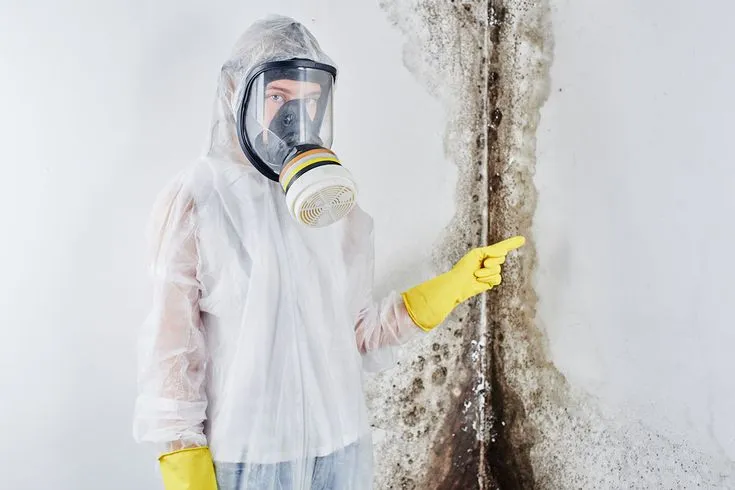 Mold awareness