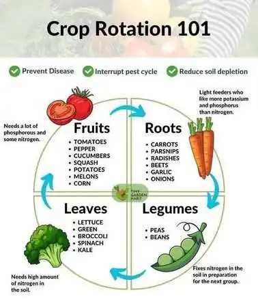 Crop rotation