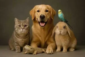 benefits of owning a pet