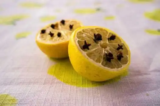 Lemon