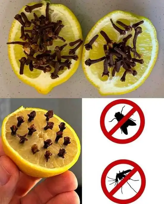 Lemon use