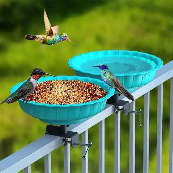 how to attract birds with food 