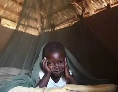 A child using a mosquito net