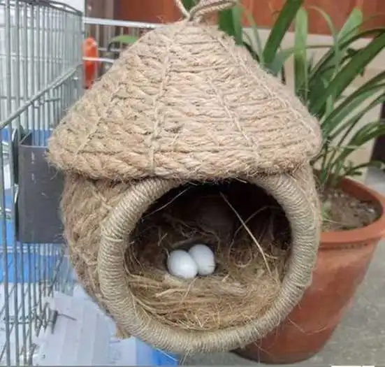 how to attract birds 