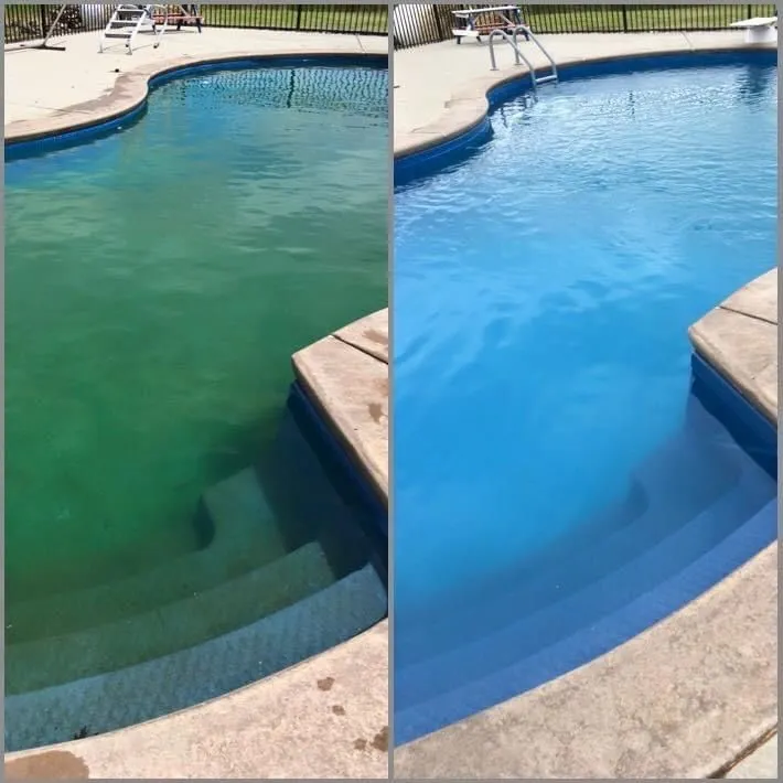how to prevent algae growth in pool