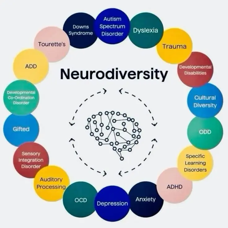 organizing for neurodivergent