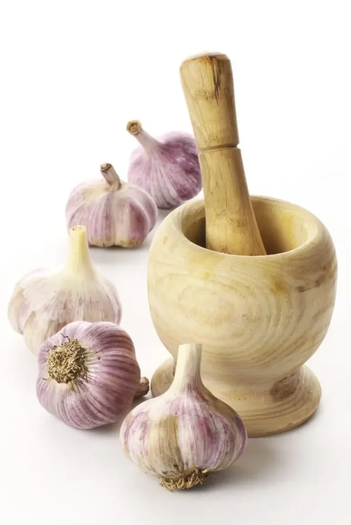 pest control: How to use garlic for pest control