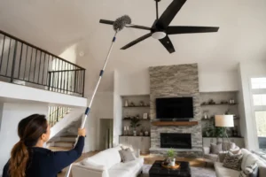ceiling fan