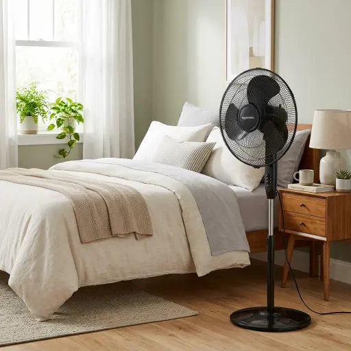 Pedestal Fan